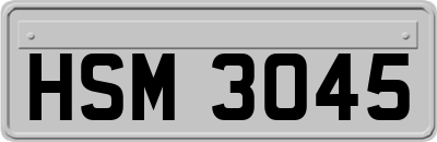 HSM3045