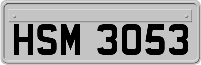 HSM3053