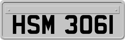 HSM3061