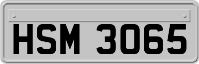 HSM3065