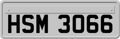 HSM3066