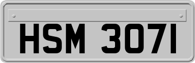 HSM3071