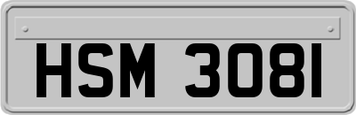 HSM3081