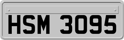 HSM3095