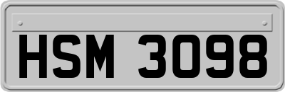 HSM3098