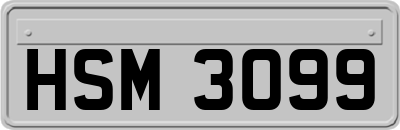 HSM3099