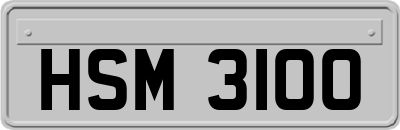HSM3100