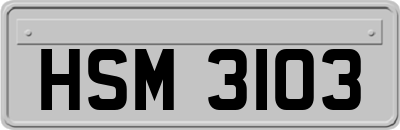 HSM3103