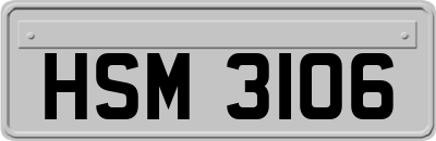 HSM3106