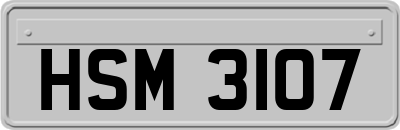 HSM3107
