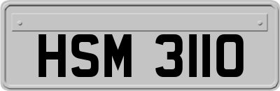 HSM3110
