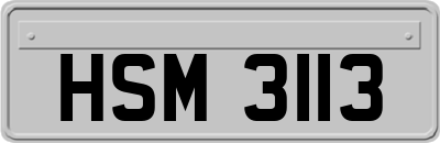 HSM3113