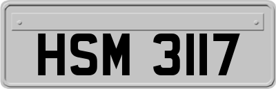 HSM3117