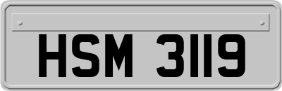 HSM3119