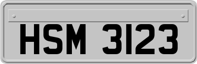 HSM3123