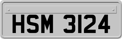 HSM3124