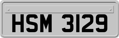 HSM3129