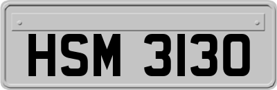 HSM3130