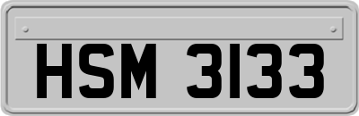 HSM3133