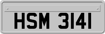 HSM3141