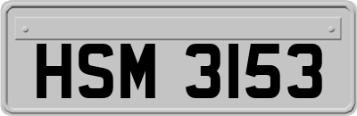 HSM3153