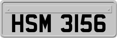 HSM3156