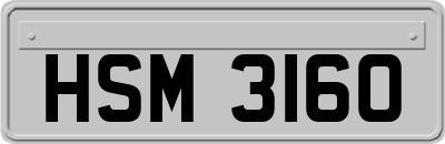 HSM3160