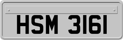HSM3161