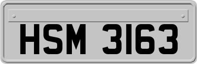HSM3163