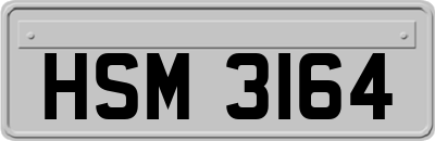 HSM3164