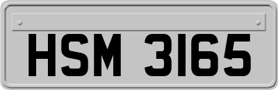 HSM3165