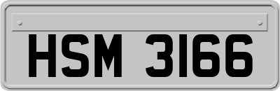 HSM3166
