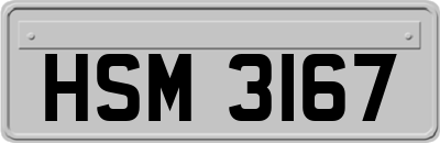 HSM3167