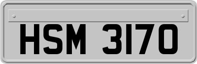 HSM3170
