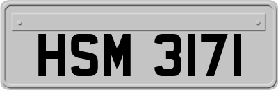 HSM3171
