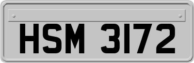 HSM3172