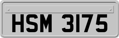 HSM3175