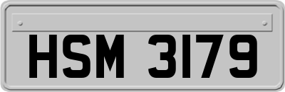 HSM3179