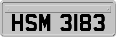 HSM3183