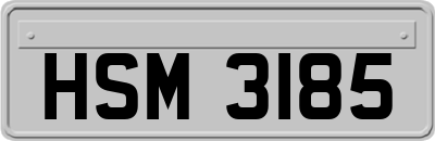 HSM3185