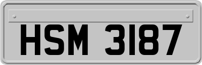 HSM3187