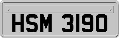 HSM3190