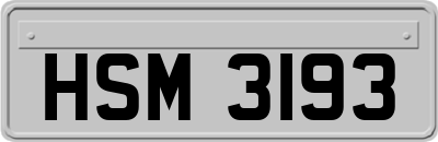 HSM3193