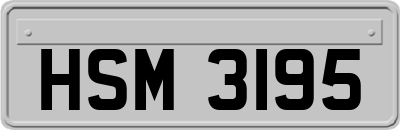 HSM3195