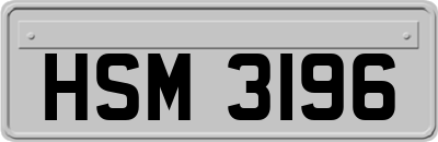 HSM3196