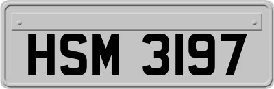 HSM3197