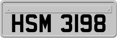 HSM3198