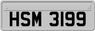 HSM3199