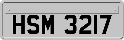 HSM3217