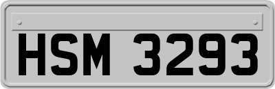 HSM3293